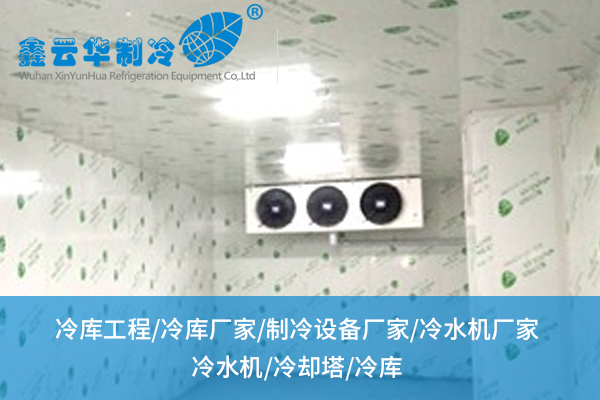 荊州冷庫工程的設計與建設要點及應用領域